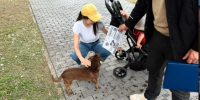 В парках Благовещенска и Свободного проверили, как выгуливают собак - ИА Порт Амур