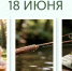 День праздников, которых никто не ожидает: 18 июня - 168.Ru