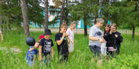 Увлекательный турнир знатоков природы прошёл в Логиновском сельском округе - Газета Ваша звезда