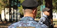 Судебные приставы взыскали с браконьеров ущерб, причиненный незаконной охотой на лося - УФССП по Пермскому краю