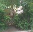 image - GazetaRB.Ru