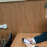 Студенты приняли участие в викторине «Единство народов России» - Владивостокский филиал РТА