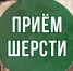 Подстригли овец, яков или верблюдов? Сдайте шерсть на фабрику переработки! - Министерство сельского хозяйства