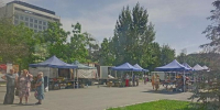 В Саратове на Театральной площади до конца июня развернётся ежедневная ярмарка - SaratovNews.Ru