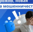 Схема мошенничества с использованием фейковых общедомовых чатов. - Администрация г. Клинцы