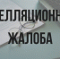 С 1 января 2026 года внесены изменения в правила рассмотрения апелляционных жалоб в гражданском судопроизводстве. - Администрация г. Клинцы
