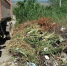 Новочеркасцам напомнили о штрафах за захламление города - Газета Новочеркасские ведомости