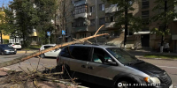 В Белгороде упавшее дерево повредило автомобиль и линии электропередачи - Fonar.Tv