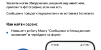 Сообщите о безнадзорных животных на Госуслугах - Багратионовский городской округ