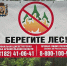Особый противопожарный режим в Поморье продлеваться не будет - Сетевое издание Север