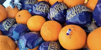 Очередную партию санкционных мандаринов уничтожат в Краснодарском крае - Кубанские Новости