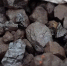 Фото: Василий Орлов - Амурское областное телевидение