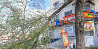 Челябинцам объяснили, почему ураган повалил так много деревьев - Pchela.News