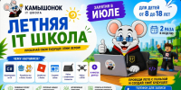 Успей записаться в Летнюю IT-школу «Камышонок»! - Технологический институт