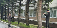 12 голубых елей обследованы лесопатологами филиала на территории краевой детской клинической больницы - Рослесозащита