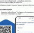 Сообщите о безнадзорных собаках и кошках на Госуслугах - Краснобаковский муниципальный округ