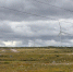 Тундра - ИА Nord-News.Ru