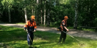 Дорожная служба проводит летние работы по уборке улиц Барнаула - Администрация г. Барнаул