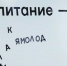 Фото: Фёдор Воронов / «Ямал-Медиа» - Красный Север