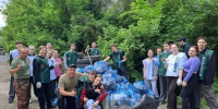 В Курской области подвели итоги Дней защиты от экологической опасности - Курская правда