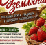 Субботинская земляника - Shushenskoe.Info