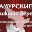 Изображение: Амурская областная научная библиотека - Областная научная библиотека им. Н.Н. Муравьева-Амурского