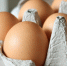Липецкие птицефабрики произвели рекордный объём яиц за пять месяцев - LipetskNews.Ru