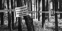 20260608_qdzrzkegv6137llu2ytt - Газета Балтийский луч