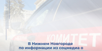 В Нижнем Новгороде по информации из соцмедиа о травмировании женщины организована доследственная проверка - СУ СК РФ