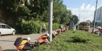 В Оренбурге провели обрезку деревьев после жалоб на Госуслугах - Yuzh-Ural.Ru