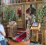 Патриотические акции, спортивные достижения и кадровое развитие — свежие новости ГУФСИН за неделю - News161.Ru