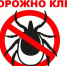 Чем опасны клещи? Профилактика. - Администрация г. Клинцы