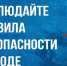 О контроле за местами отдыха и купания на водных объектах Брянской области в летнем сезоне 2026 года. - Администрация г. Клинцы