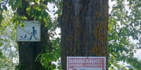В Кузнецке продолжаются рейды по водоемам - Администрация г. Кузнецка