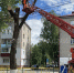 Старый тополь больше не угрожает брянцам - Vbryanske.Com