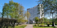 Уличный кинотеатр откроется в центре Мурманска - Телекомпания ТВ-21