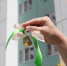 You are viewing the image with filename 1.jpg - Самарский ГАУ