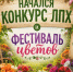 В Ингушетии проходит ежегодный конкурс на лучшее ЛПХ . - Администрация г. Малгобек