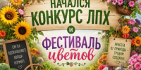 В Ингушетии проходит ежегодный конкурс на лучшее ЛПХ . - Администрация г. Малгобек
