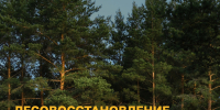 18.06.2026 | Определены топ-3 региона ЦФО по лесовосстановлению по итогам 2025 года - Министерство лесного комплекса