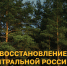 18.06.2026 | Определены топ-3 региона ЦФО по лесовосстановлению по итогам 2025 года - Главное управление по архивному делу