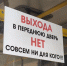 В Липецком горсовете заговорили о возвращении кондукторов в автобусы, электробусы и трамваи - Gorod48.ru