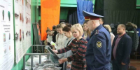 Чтобы радовался глаз - Мурманский вестник
