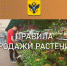 Правила продажи растений - Министерство промышленности и торговли