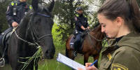 В лесах под Севастополем усилено патрулирование></div>
	<div class= - Вести.Севастополь