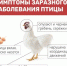 Нажмите для предварительного просмотра изображения - Красногорский район УР