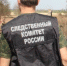 В Самарской области возбуждено уголовное дело по факту нападения собак на мужчину - Следственный комитет