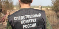 В Самарской области возбуждено уголовное дело по факту нападения собак на мужчину - Следственный комитет