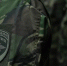 Изъяли тонны оружия НАТО и спасали раненых: в ДНР наградили полицейских временного отдела полиции - Донецк Медиа