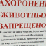 Фото взято из открытых источников в сети «Интернет». - Администрация г. Северодвинска
